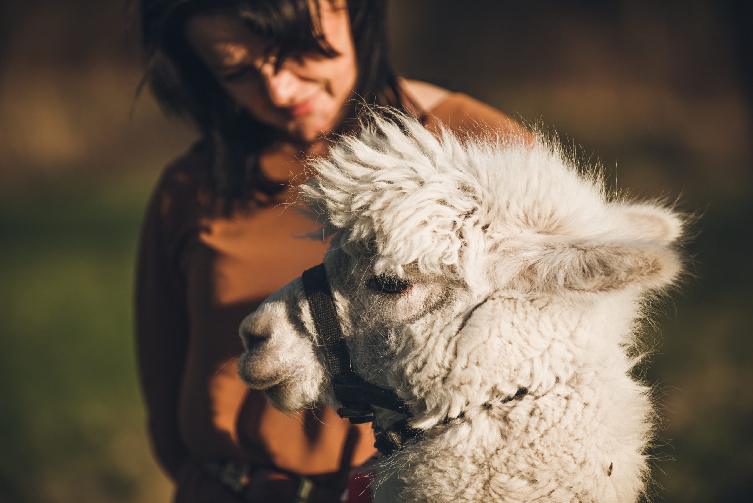 Pani Jadzia i Budyń