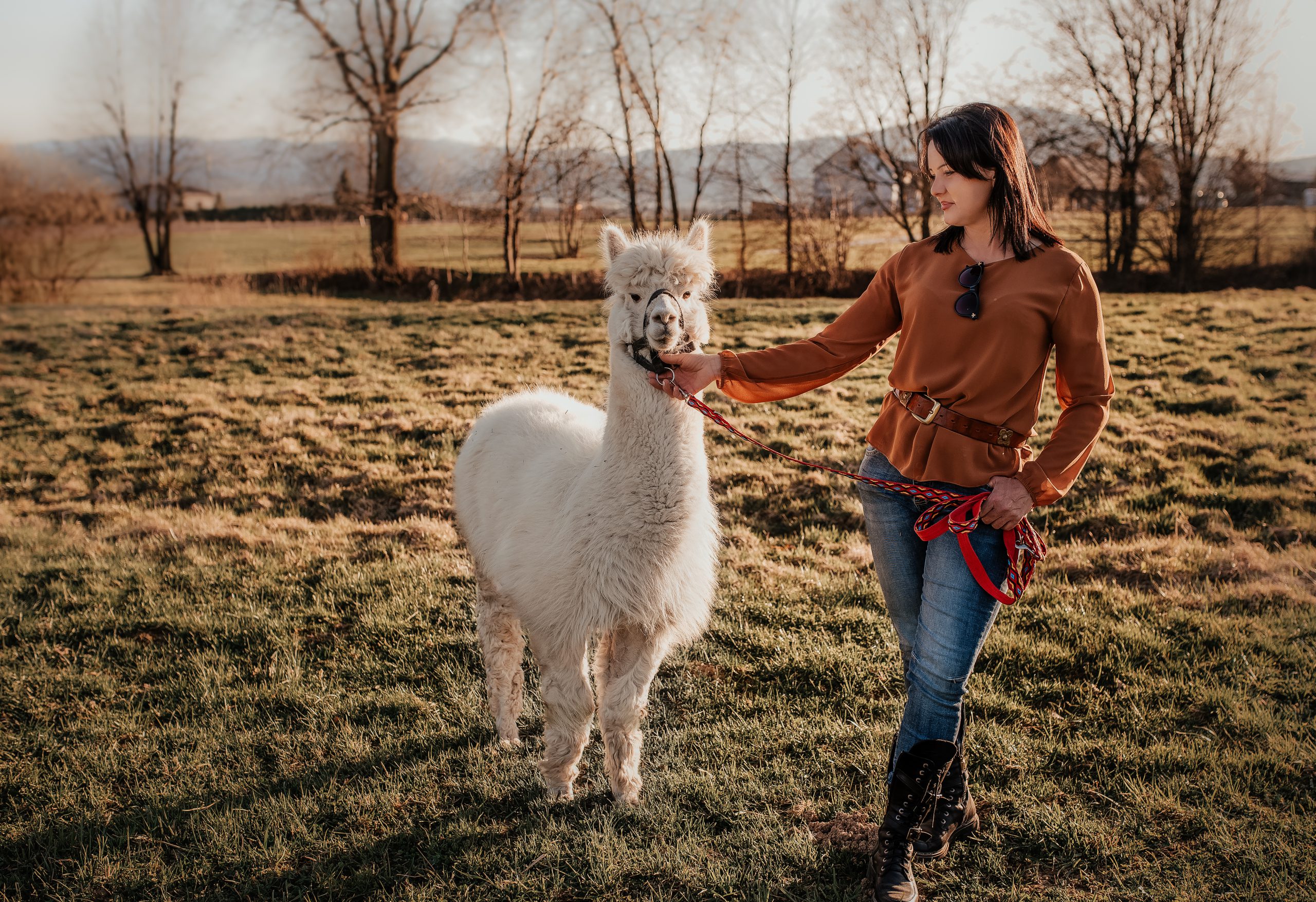 Pani Jadzia i budyń